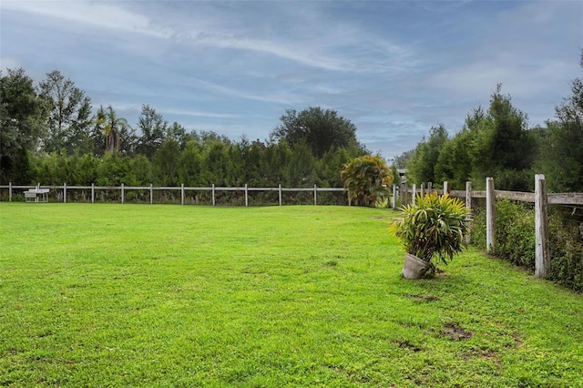 19410 N 41st Hwy, Lutz, FL 33548 - view of yard