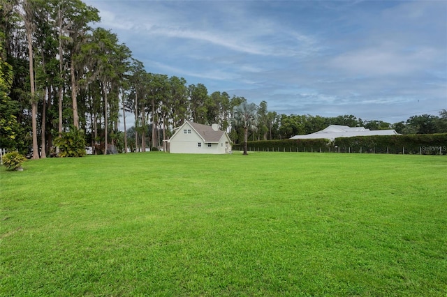 19410 N 41st Hwy, Lutz, FL 33548 - view of grassy yard
