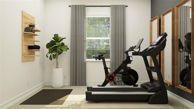 6913 116th Ct E, Palmetto, FL 34221 - exercise room featuring carpet flooring