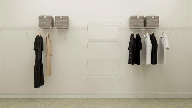 6913 116th Ct E, Palmetto, FL 34221 - walk in closet featuring carpet