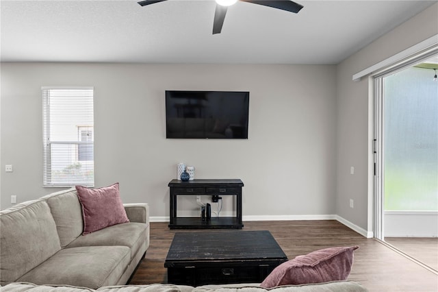 4715 Barnstead Dr, Riverview, FL 33578 - living area featuring wood finished floors, healthy amount of natural light, and ceiling fan