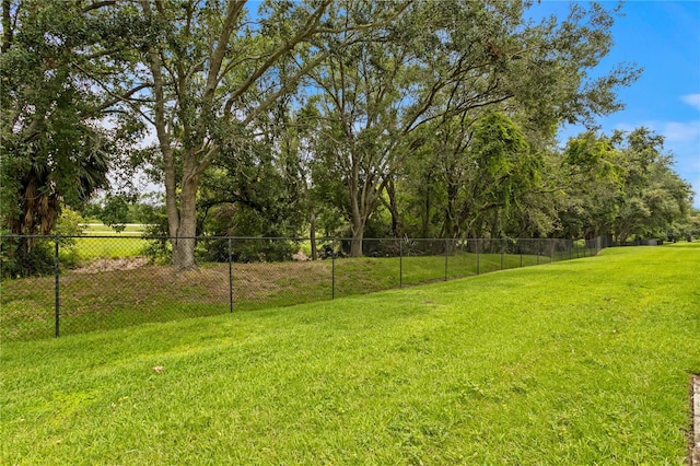 4715 Barnstead Dr, Riverview, FL 33578 - view of yard