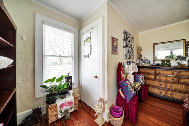 3919 Huntington St NE, Saint Petersburg, FL 33703 - photo 27