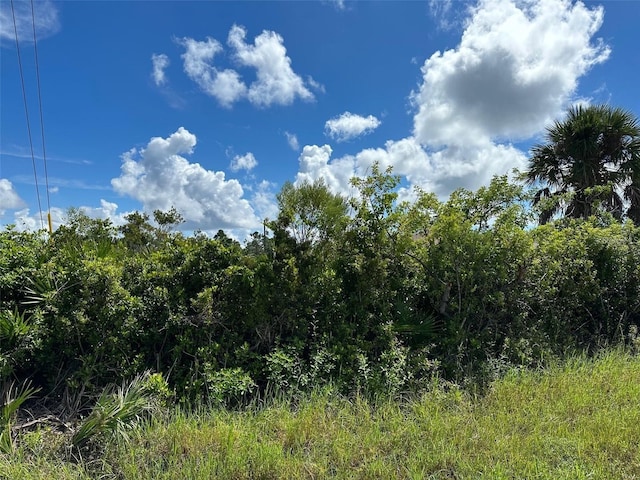 6152 Emmonsdale St, Port Charlotte, FL 33981 - photo 2