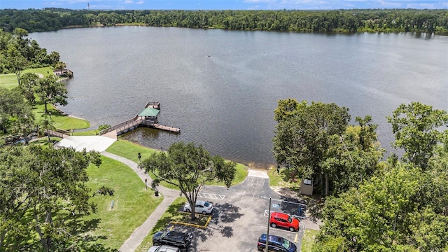 3904 Executive Cir, Plant City, FL 33566 - photo 29