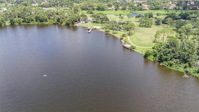 3904 Executive Cir, Plant City, FL 33566 - photo 30