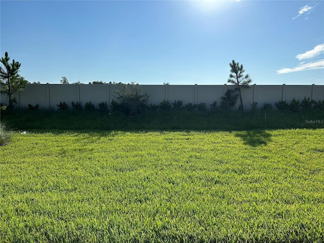 5981 Shorebird Br, Land O Lakes, FL 34638 - photo 14