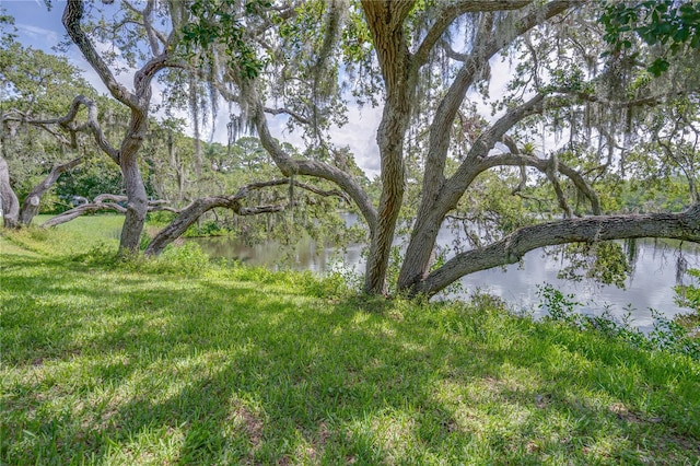 6625 Burning Tree Dr, Seminole, FL 33777 - photo 3
