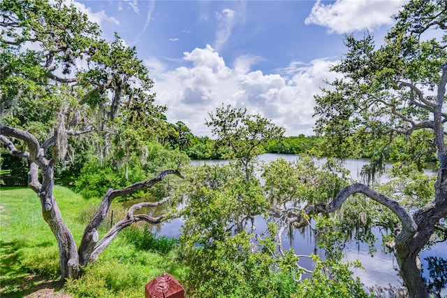 6625 Burning Tree Dr, Seminole, FL 33777 - photo 29