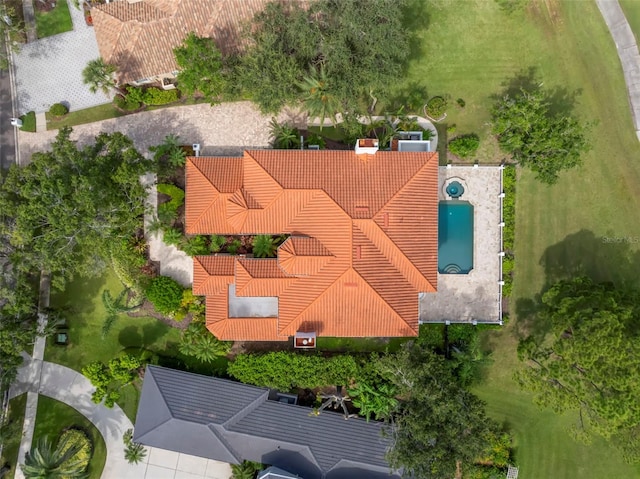 7401 Water Silk Dr, Pinellas Park, FL 33782 - photo 68