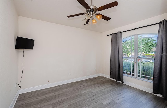 20229 Natures Spirit Dr, Tampa, FL 33647 - photo 24