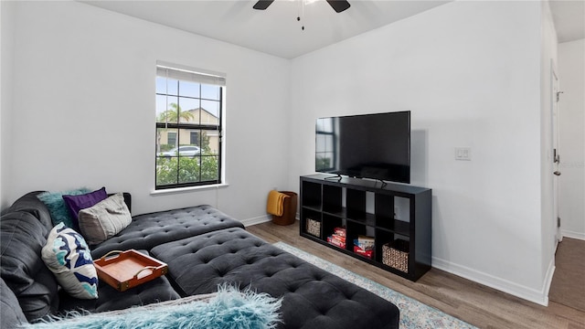 14317 Italia Dr, Wimauma, FL 33598 - living room with ceiling fan and wood finished floors