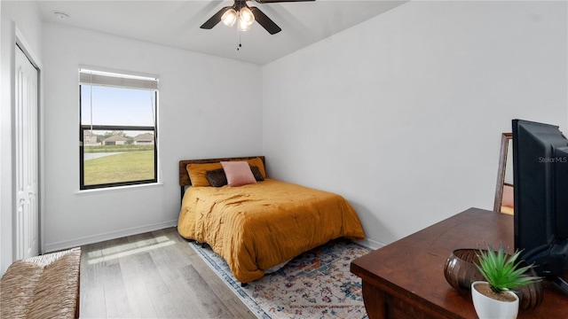 14317 Italia Dr, Wimauma, FL 33598 - bedroom featuring wood finished floors and a ceiling fan
