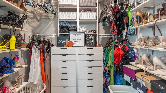 14317 Italia Dr, Wimauma, FL 33598 - view of walk in closet
