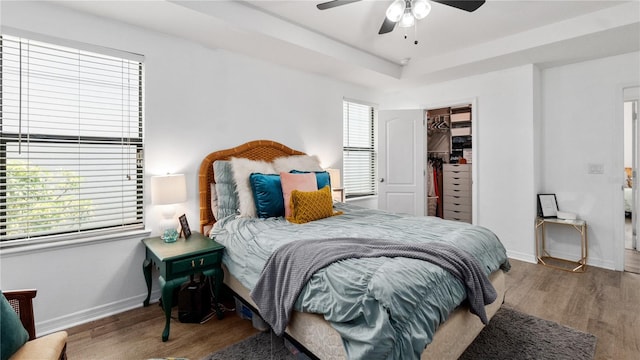 14317 Italia Dr, Wimauma, FL 33598 - bedroom featuring wood finished floors, a closet, a spacious closet, ceiling fan, and a tray ceiling