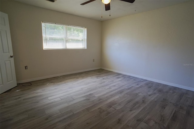800 Saint Petersburg Dr, Oldsmar, FL 34677 - photo 14
