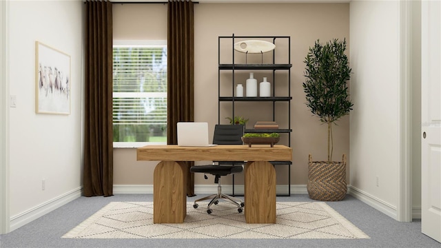 6925 E 116th Ct, Palmetto, FL 34221 - office with carpet flooring