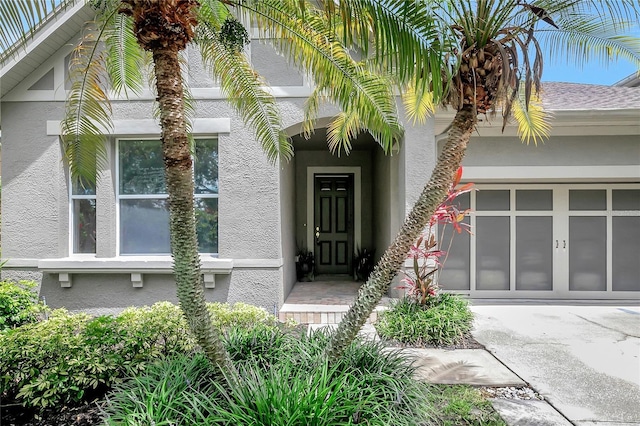 11521 Meridian Point Dr, Tampa, FL 33626 - photo 4