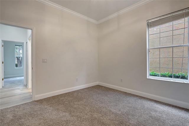11521 Meridian Point Dr, Tampa, FL 33626 - photo 44