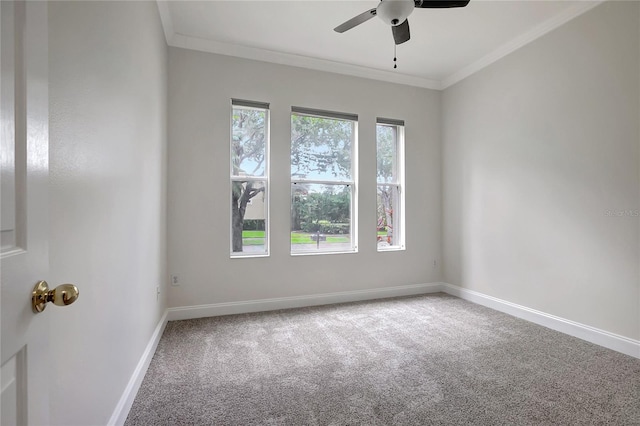 11521 Meridian Point Dr, Tampa, FL 33626 - photo 47