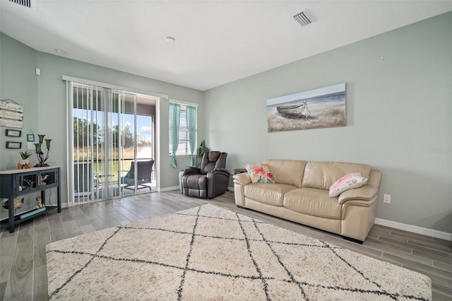11829 Brighton Knoll Loop, Riverview, FL 33579 - living area with wood finished floors and baseboards