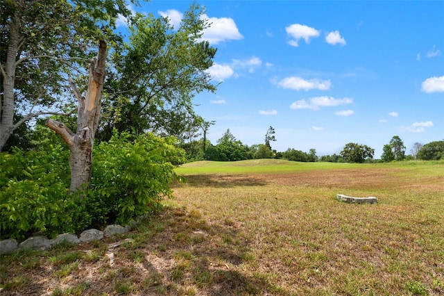 5203 Lydia Ct, Spring Hill, FL 34608 - photo 59