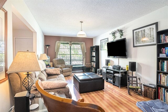 750 Caliente Dr, Brandon, FL 33511 - living room with light wood finished floors and a textured ceiling