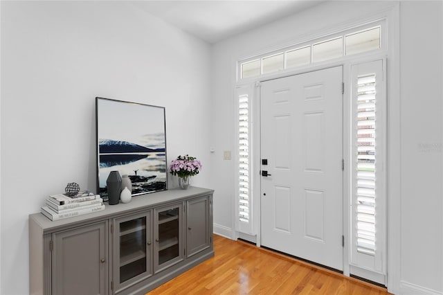 305 Sea Island Way, Tampa, FL 33602 - foyer entrance featuring light wood-style floors and healthy amount of natural light