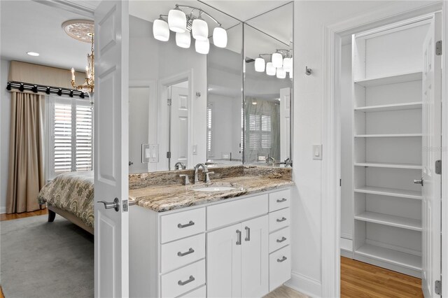 305 Sea Island Way, Tampa, FL 33602 - bathroom with vanity, ensuite bathroom, wood finished floors, a chandelier, and a closet