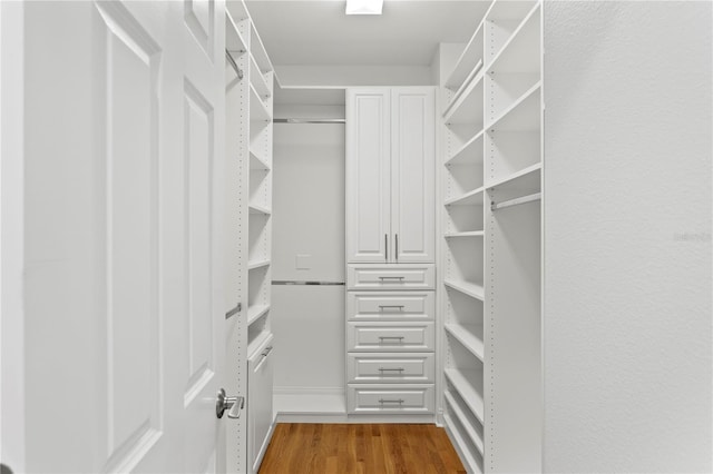 305 Sea Island Way, Tampa, FL 33602 - spacious closet with dark wood-type flooring