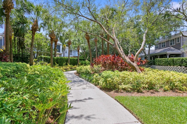 305 Sea Island Way, Tampa, FL 33602 - view of property's community with a residential view