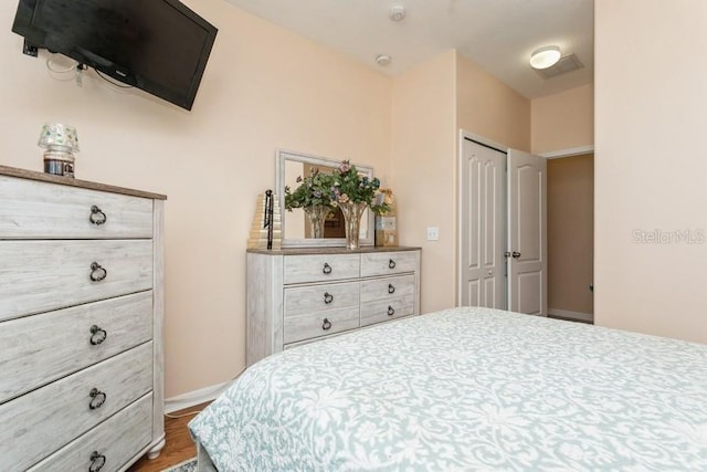 2639 Yukon Cliff Dr, Ruskin, FL 33570 - bedroom with a closet and wood finished floors