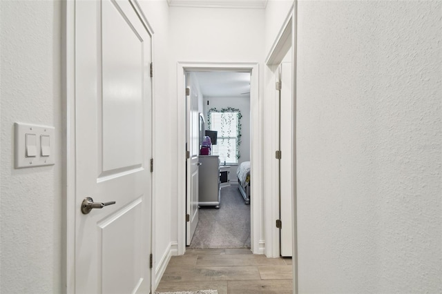 9810 Carabiner Way, Land O Lakes, FL 34637 - photo 13