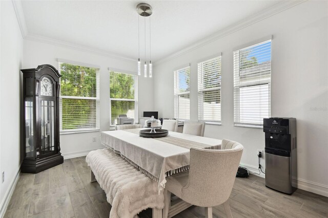 9810 Carabiner Way, Land O Lakes, FL 34637 - photo 27