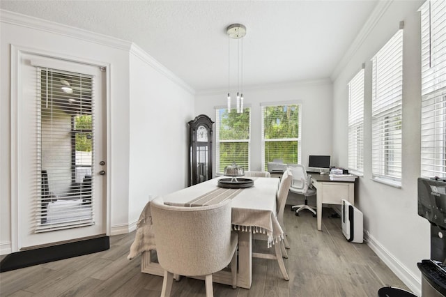 9810 Carabiner Way, Land O Lakes, FL 34637 - photo 28