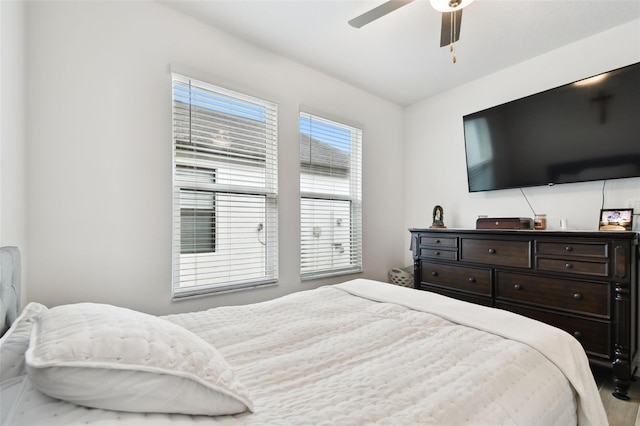 9810 Carabiner Way, Land O Lakes, FL 34637 - photo 44
