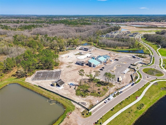 9810 Carabiner Way, Land O Lakes, FL 34637 - photo 95