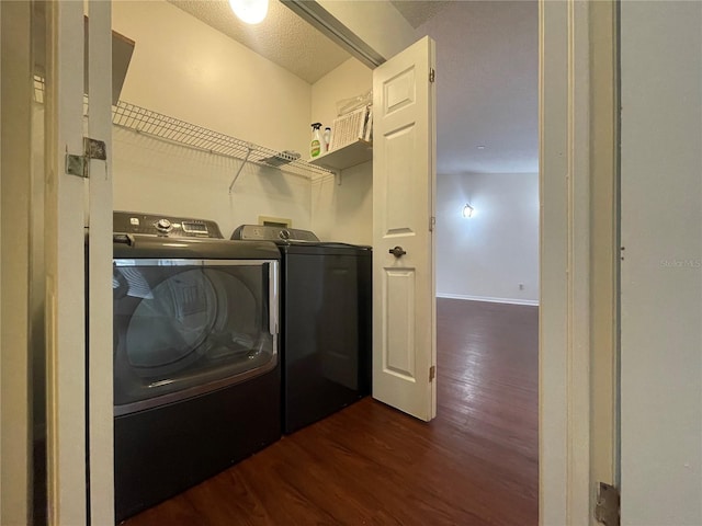 18302 Aintree Ct, Tampa, FL 33647 - photo 23