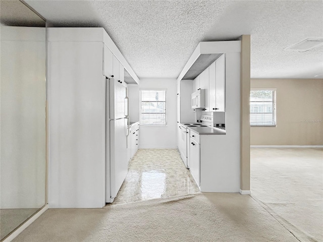 3265 40th Way S E, Saint Petersburg, FL 33711 - photo 16