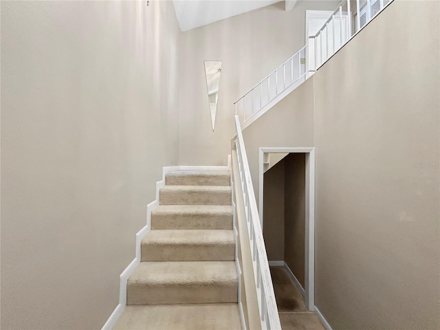 3265 40th Way S E, Saint Petersburg, FL 33711 - photo 24