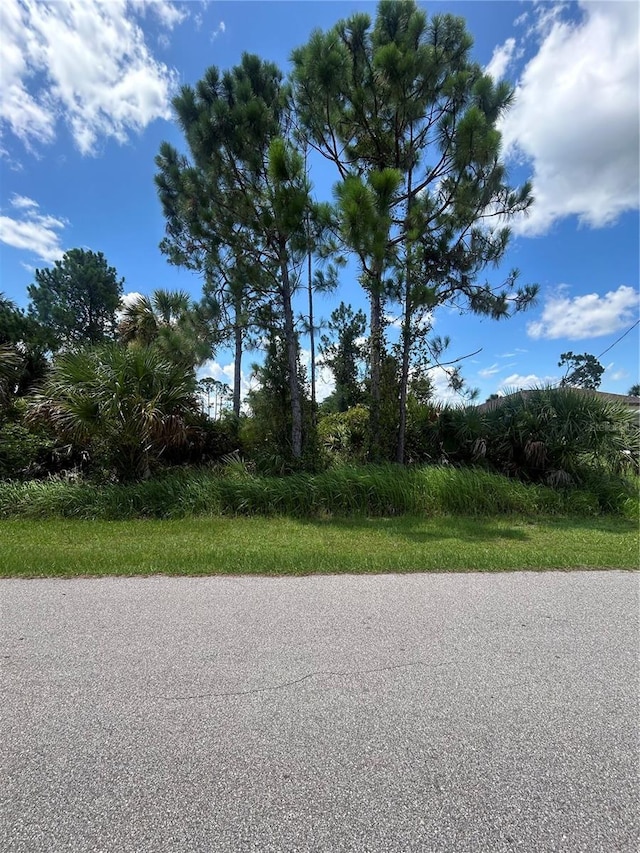 Alesio Ave, North Port, FL 34286 - photo 1