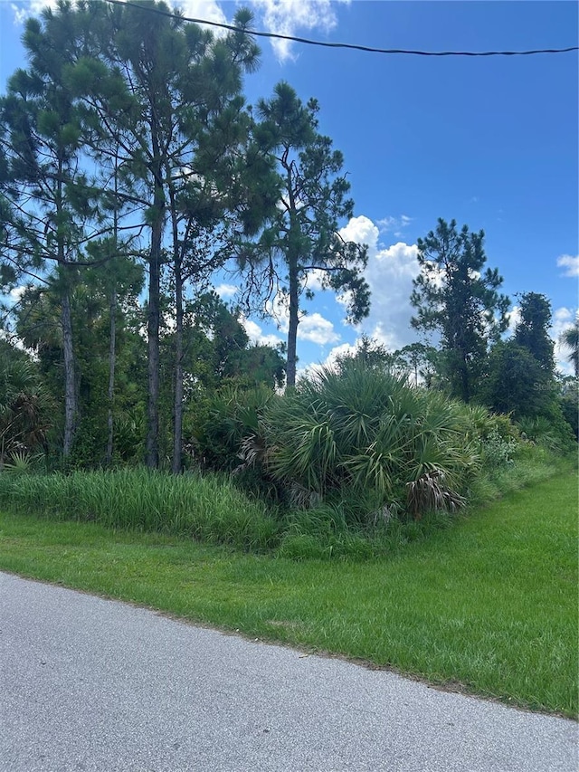 Alesio Ave, North Port, FL 34286 - photo 2