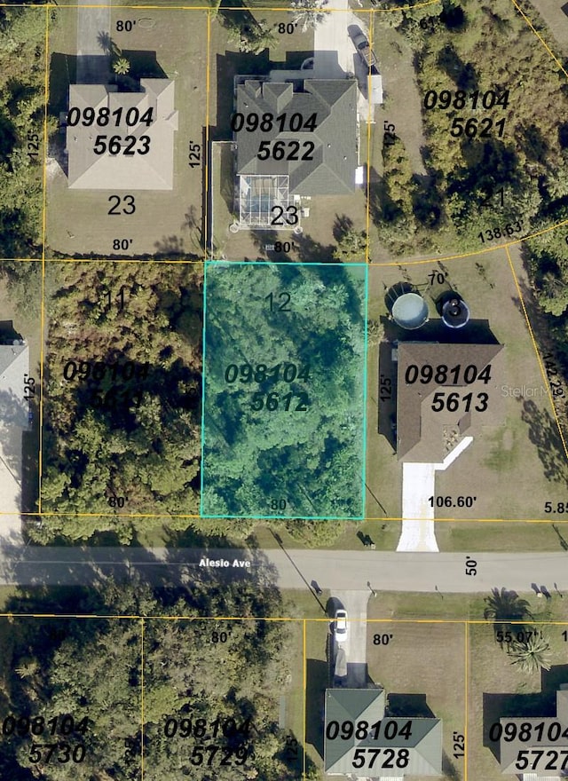 Alesio Ave, North Port, FL 34286 - photo 3