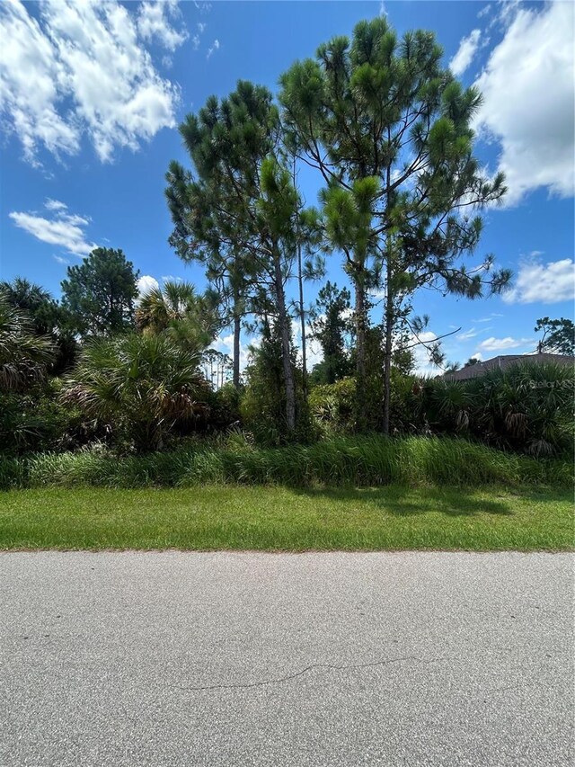 Alesio Ave, North Port, FL 34286 - photo 5