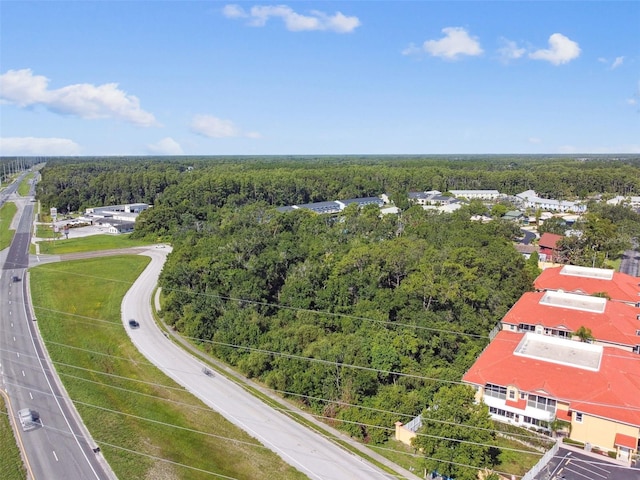 1703 Dale Mabry Hwy, Lutz, FL 33548 - photo 3