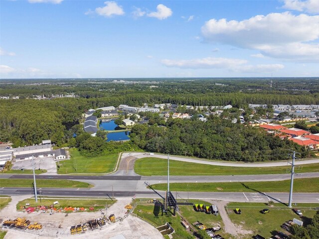1703 Dale Mabry Hwy, Lutz, FL 33548 - photo 4