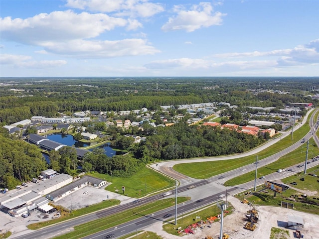 1703 Dale Mabry Hwy, Lutz, FL 33548 - photo 6