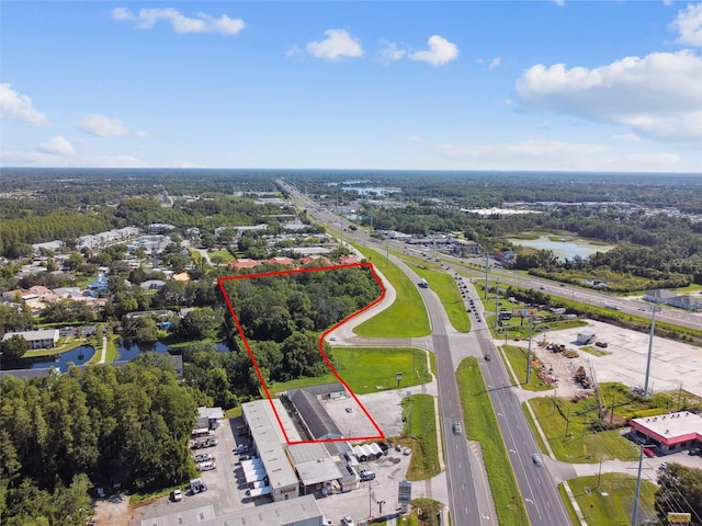 1703 Dale Mabry Hwy, Lutz, FL 33548 - photo 9