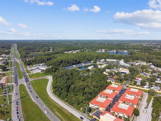 1703 Dale Mabry Hwy, Lutz, FL 33548 - photo 13