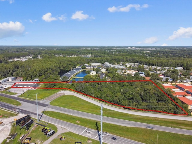 1703 Dale Mabry Hwy, Lutz, FL 33548 - photo 14